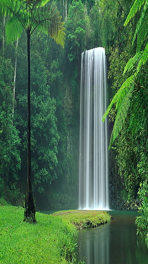 Waterfall, Calming cascade, iPhone , phone wallpaper
