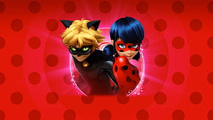Ladybug, wallpaper