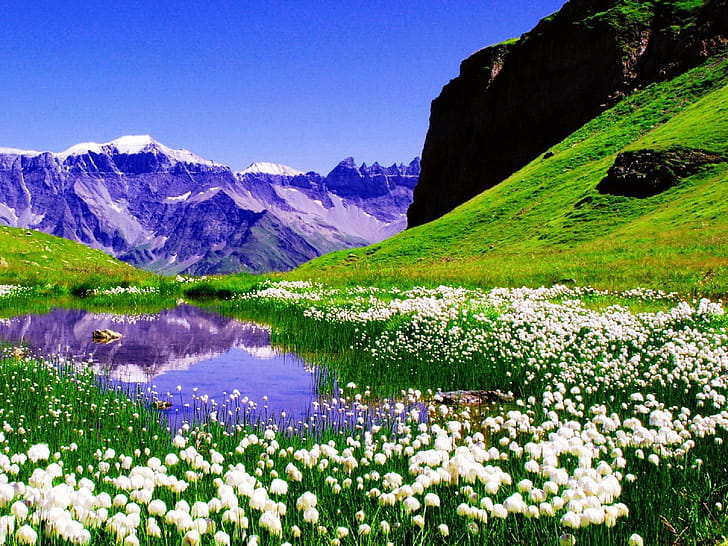 Spring wallpaper