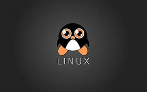 Peguin Linux, tux, linux, computer, ubuntu, penguin wallpaper