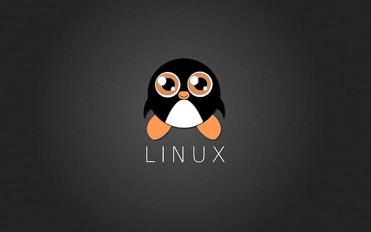 Peguin Linux, tux, linux, computer, ubuntu, penguin wallpaper