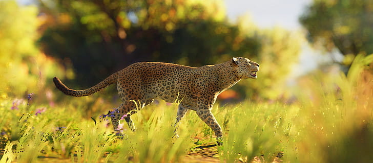 Leopard Wild , leopard, animals wallpaper