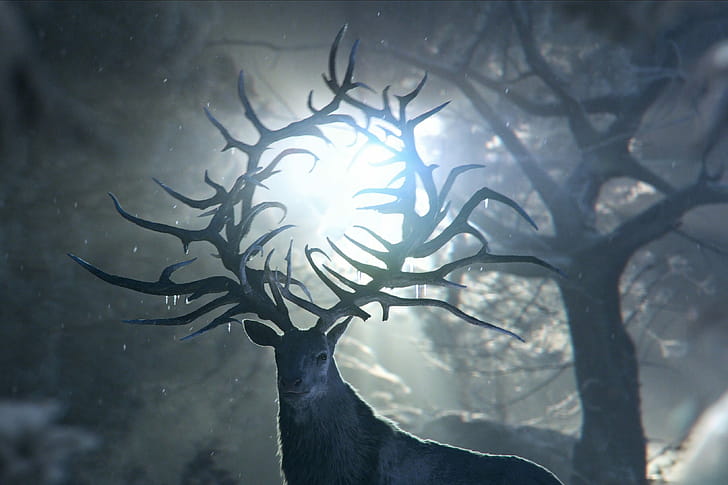 S01E07, Shadow and Bone wallpaper