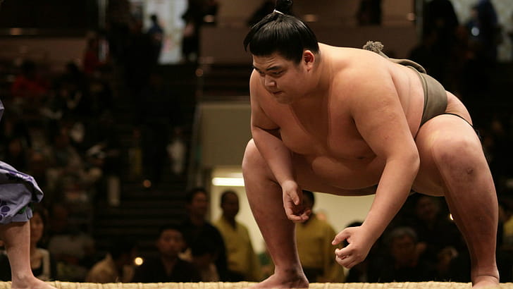 Content analytics tool, Sumo focus wallpaper