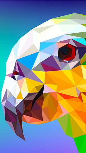 Parrot, Facets phone wallpaper
