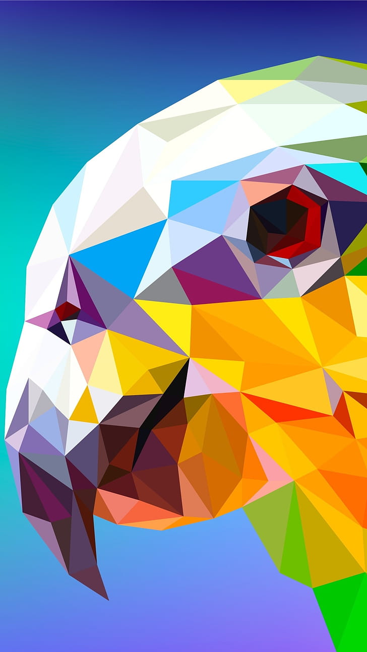 Parrot, Facets phone wallpaper