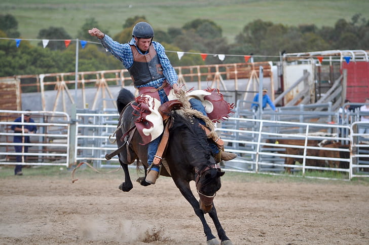 Rodeo, , Backgrounds wallpaper