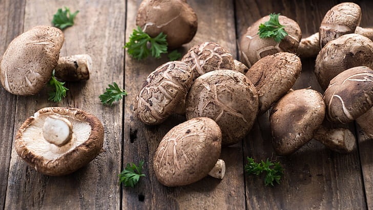 Shiitake , , , Shiitake wallpaper