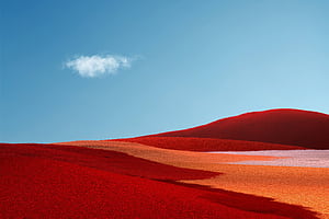 Surface Pro X , windows, microsoft, computer wallpaper