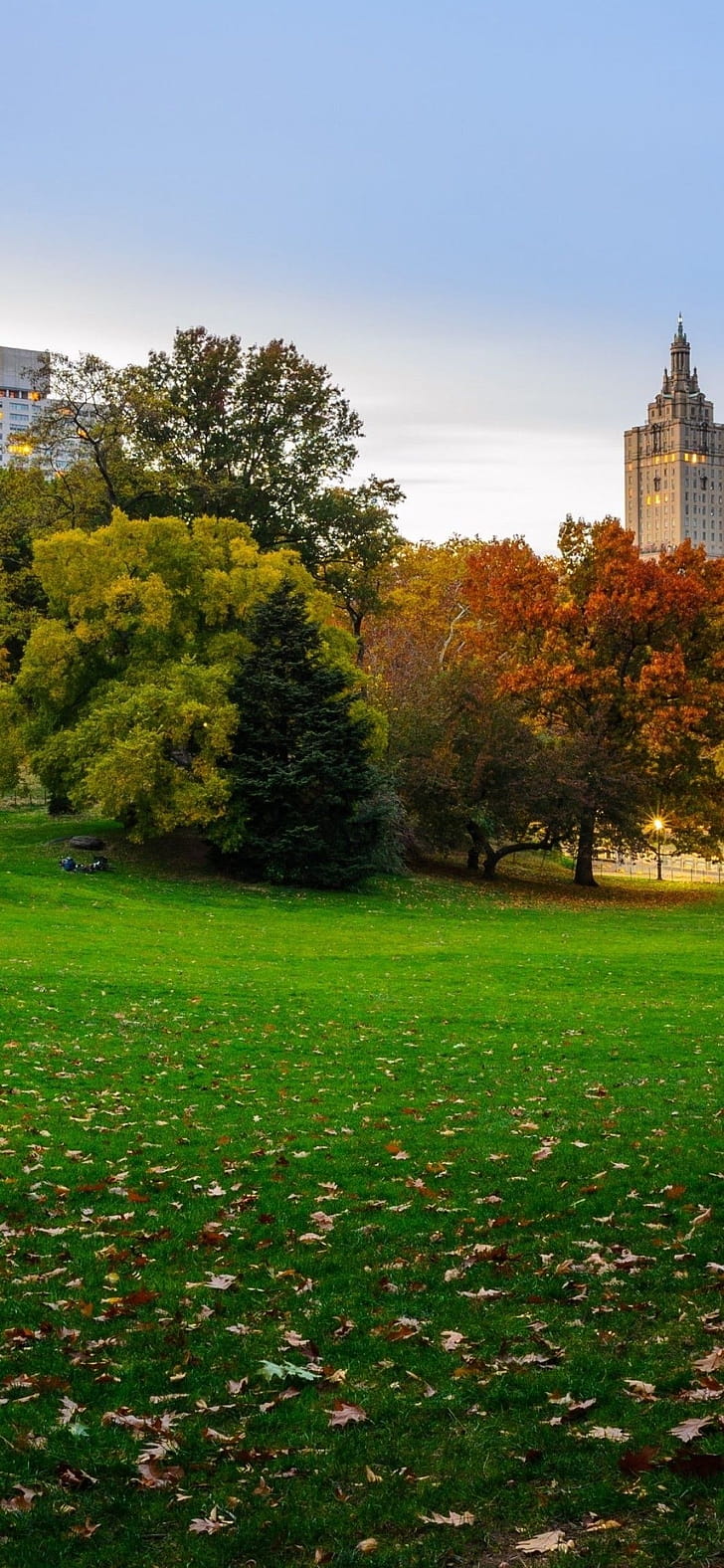 Central Park, iPhone , Backgrounds phone wallpaper