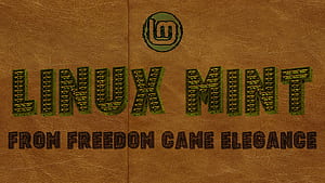 Linux Mint, Technology, Linux wallpaper