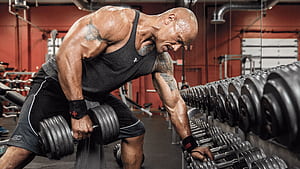 Dwayne Johnson Workout, dwayne-johnson, celebrites, lifting, exercise wallpaper