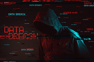 Hacker 8k, anonymus, hacker, computer wallpaper