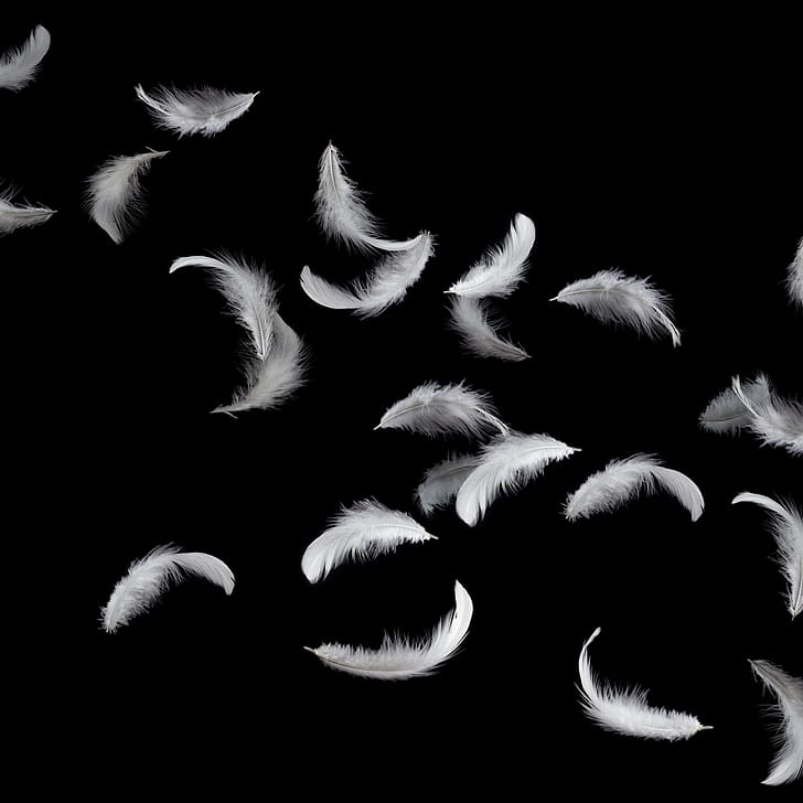 Feather in space, Zero gravity experiment, Intriguing scientific phenomenon, Physics demonstration phone wallpaper