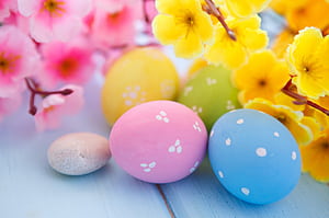 Eggs and blossoms, Easter wallpaper