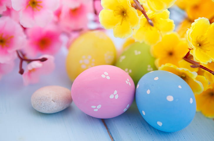 Eggs and blossoms, Easter wallpaper