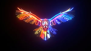 Nocturna Owl , owl, dark, black, artist, artist, artwork, digital-art, deviantart wallpaper