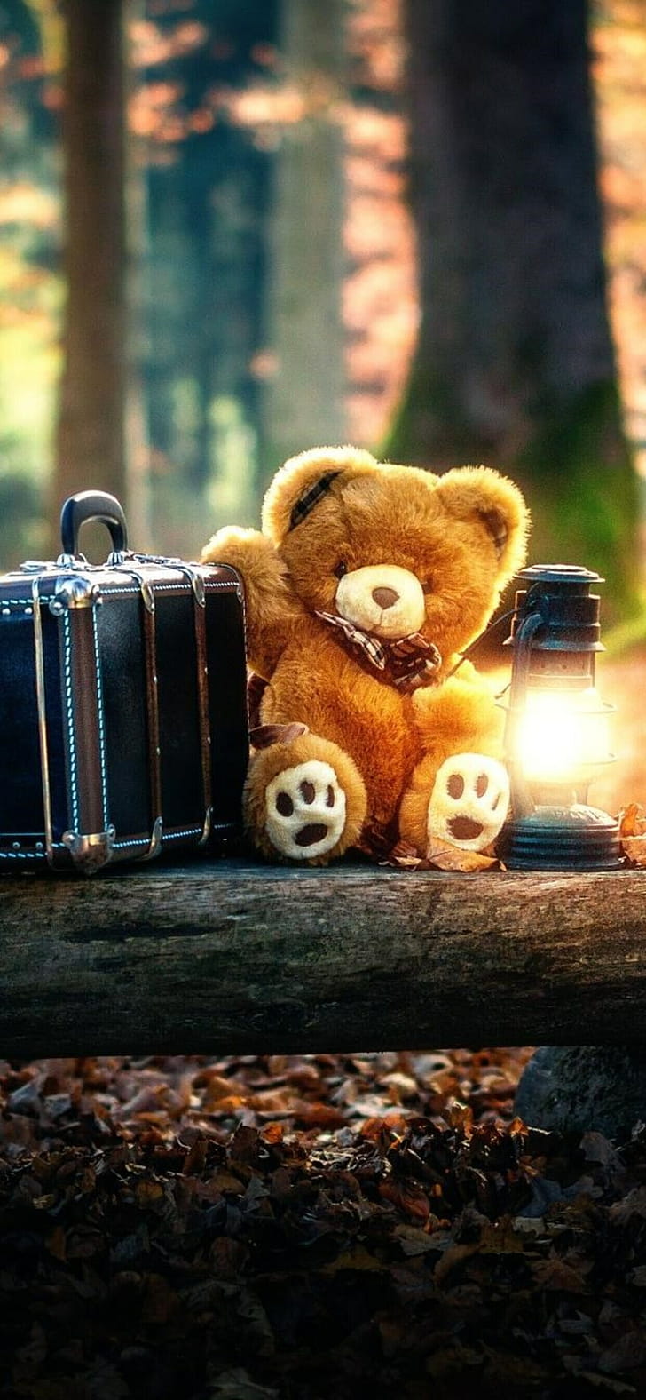 Teddy bear, Bears phone wallpaper