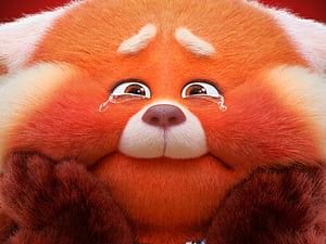 Turning Red, , Background wallpaper