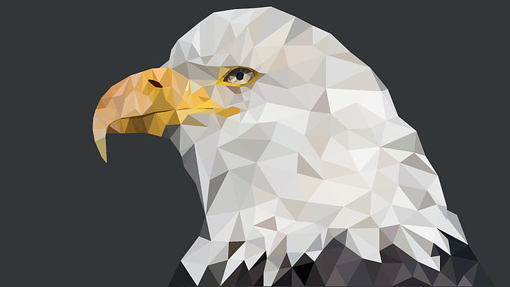 Animal, bald eagle wallpaper