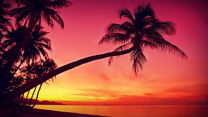 Sunset, Scenery wallpaper