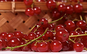 Currants, , Background wallpaper