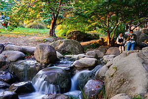 graphy, nature wallpaper