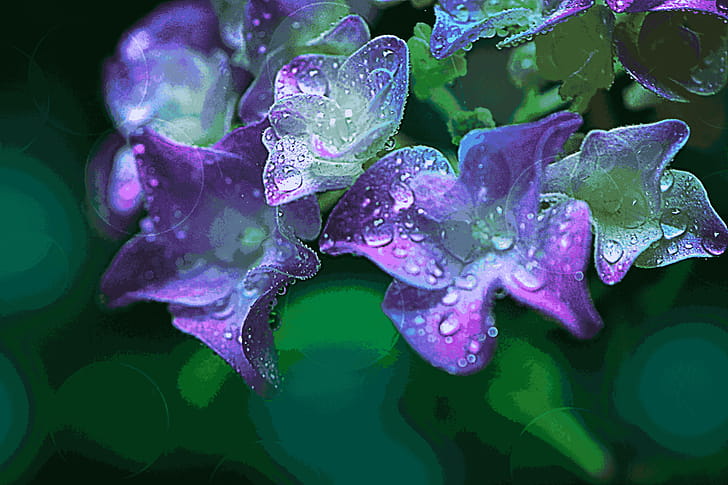 flower, macro wallpaper