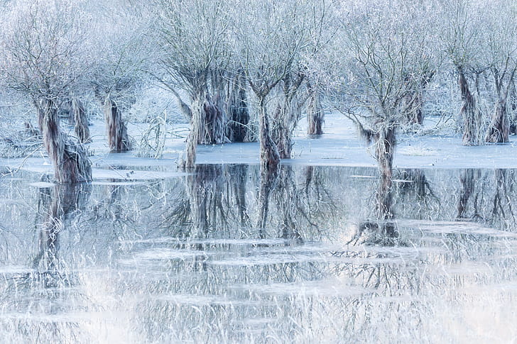 nature, reflection wallpaper