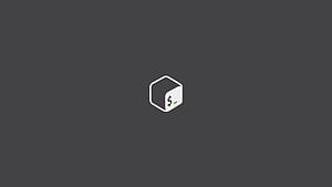 Bash  (Gray), Linux, terminal, bash wallpaper