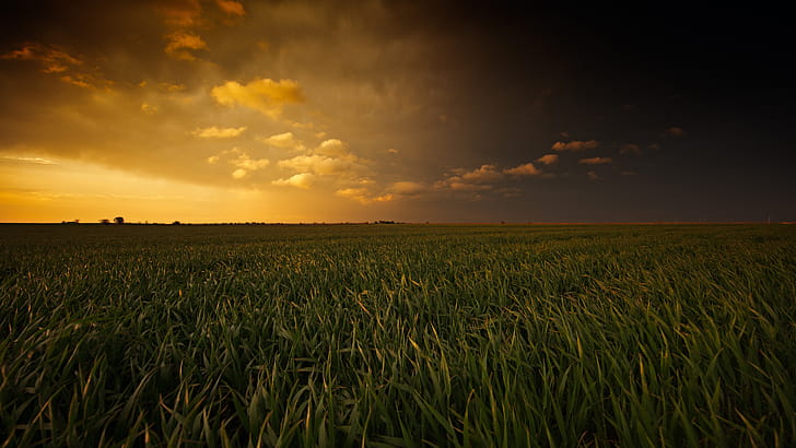 Sunset Fields, fields, nature, sunset wallpaper