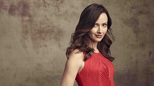 Amy Acker, amy-acker, celebrities, girls wallpaper
