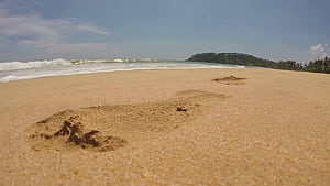 Sand wallpaper