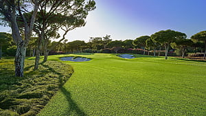 , Golf, , High wallpaper