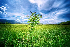 landscape wallpaper