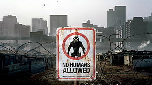 No Humans Allowed, typography, comments, msg wallpaper