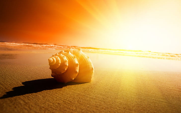 Sunlight, Sun wallpaper