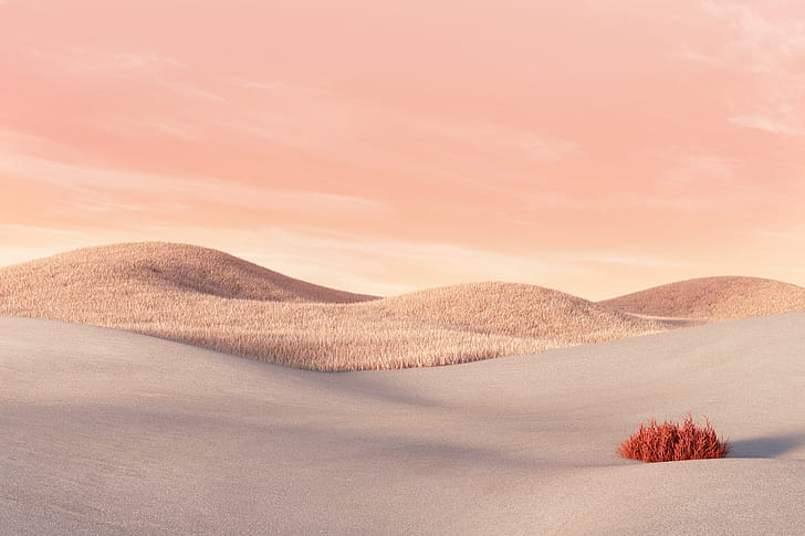Surface Laptop Go Sandstone, surface, microsoft, windows, computer wallpaper