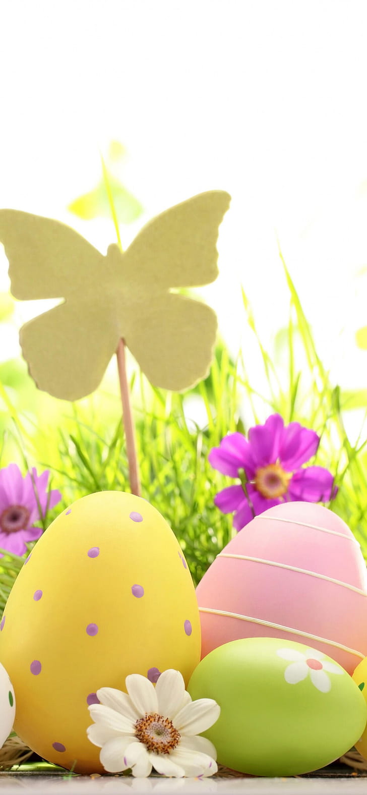 Easter , Festive background, Spring celebration, Personalized design phone wallpaper