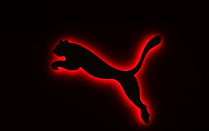 Puma, wallpaper