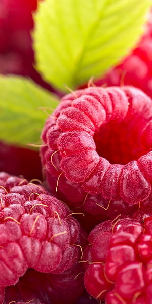 Food, Raspberry, Background phone wallpaper