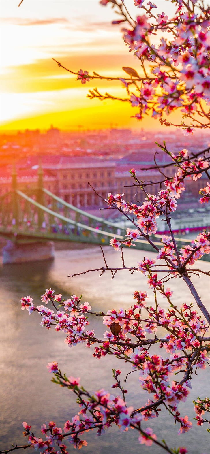 Budapest, Spring phone wallpaper