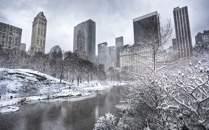 Central Park, , Background wallpaper