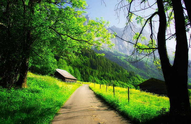 Cabin, Forest, Path, Spring, Tree wallpaper