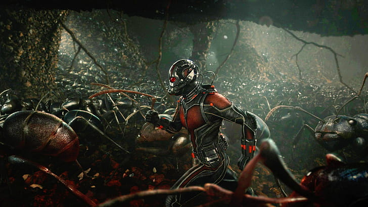 Comics Ant-Man, wallpaper