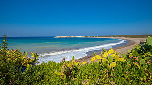Lara Beach, Cyprus wallpaper