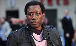 Wesley Snipes, , , Actor wallpaper