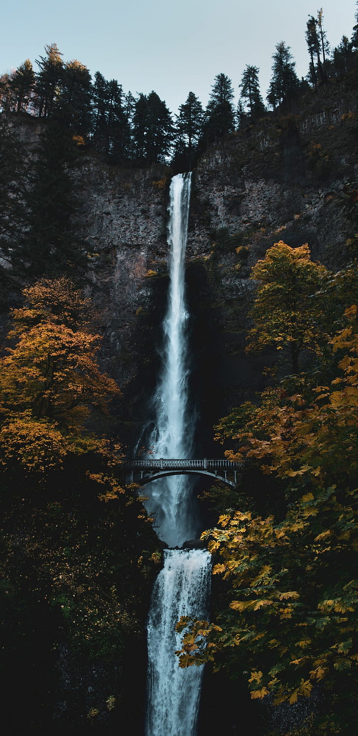 Multnomah, Waterfalls phone wallpaper