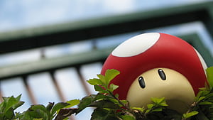 Toad, cartoons wallpaper