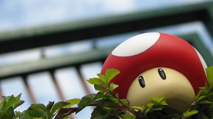 Toad, cartoons wallpaper
